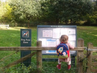 Bourne Woods entrance