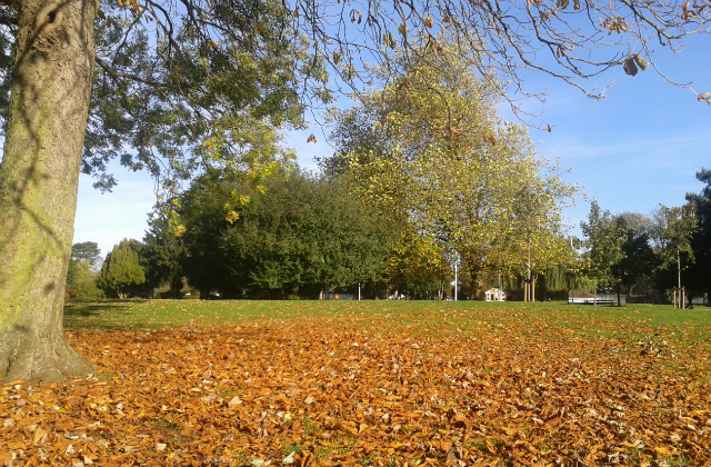 Autumn at Central Park, Peterborough