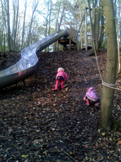 The slides at the Spinney