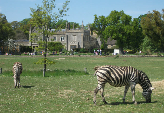 Cotswold Wildlife Park
