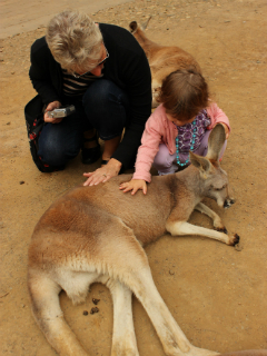 Stroking a kangaroo at Currumbin Wildlife Sanctuary