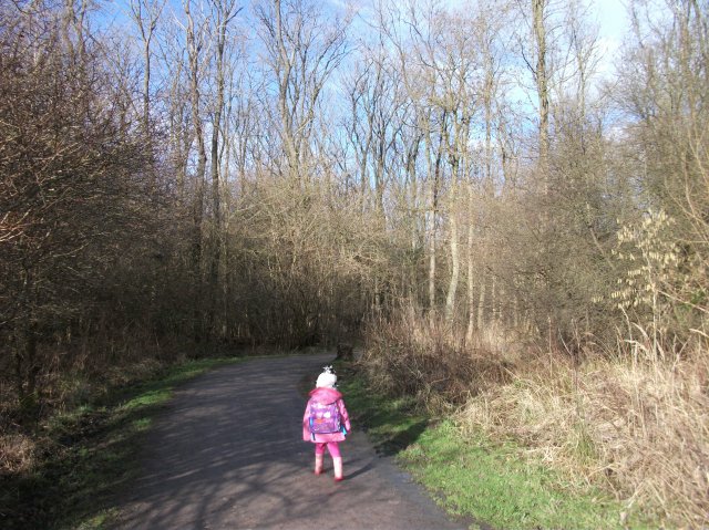 Walking through Fineshade Woods