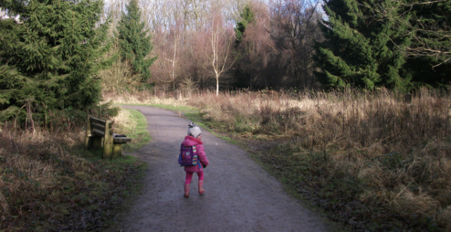 Walking at Fineshade Woods