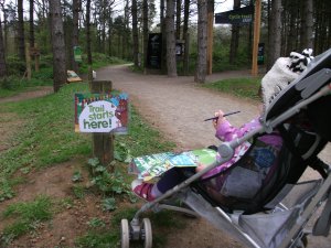 Gruffalo trail at Fineshade Woods