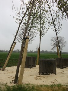 Otter Playground at Ferry Meadows