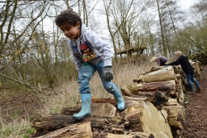 Walking along the log wall in the woodland area. ©NT Images