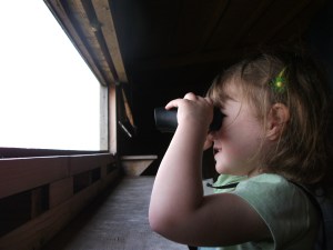 Birdwatching at Welney Wetland Centre