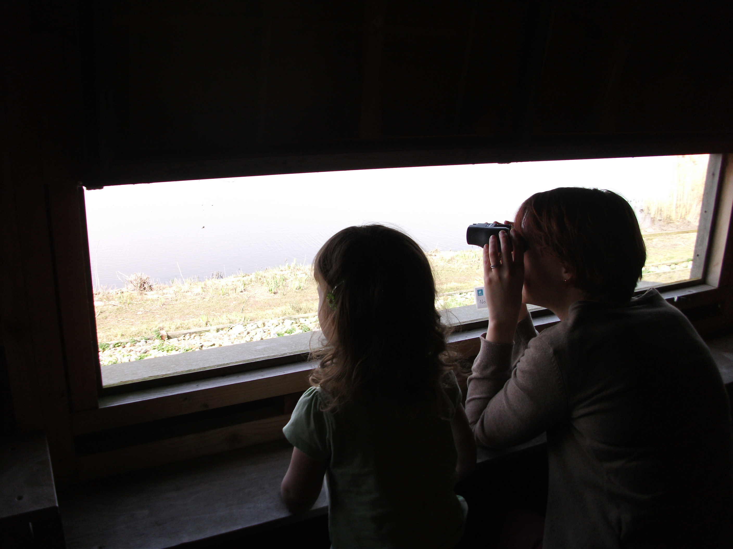 Birdwatching at Welney Wetland Centre