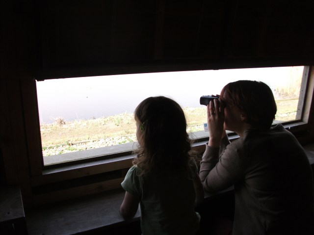 Birdwatching at Welney Wetland Centre