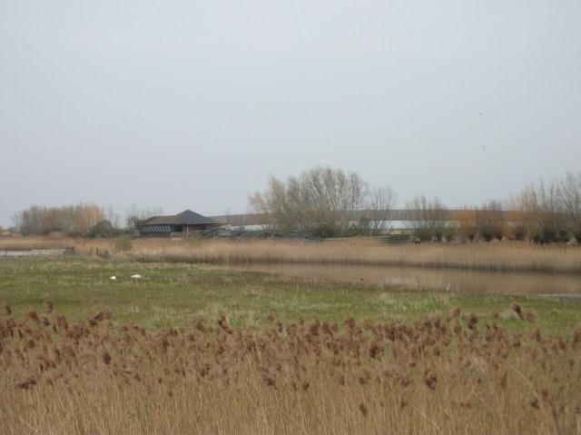 Welney Wetland Centre