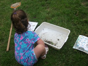 Pond dipping at Sacrewell Farm
